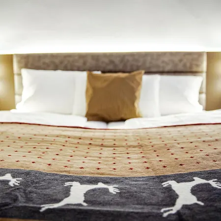 酒店 Lodge Hotel Winterberg 温特贝格